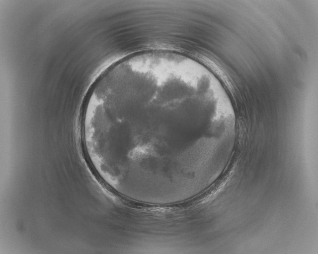 X0000115661141200912101046