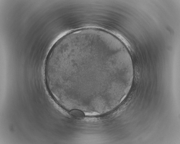 X0000115661142200912101046