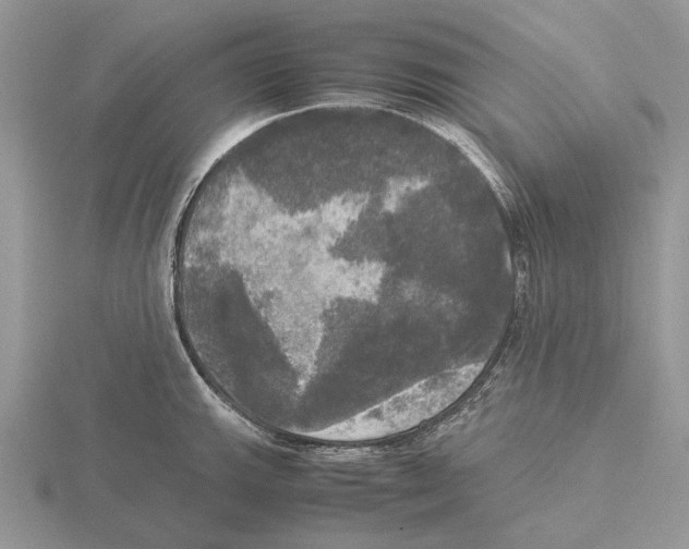 X0000115661143200912101046