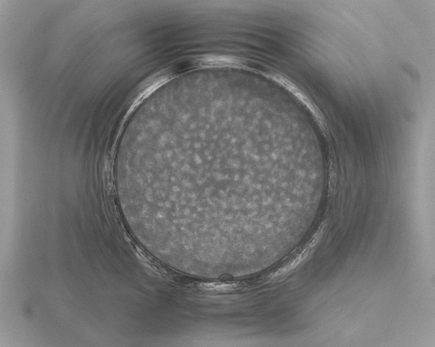 X0000115661145200912101046