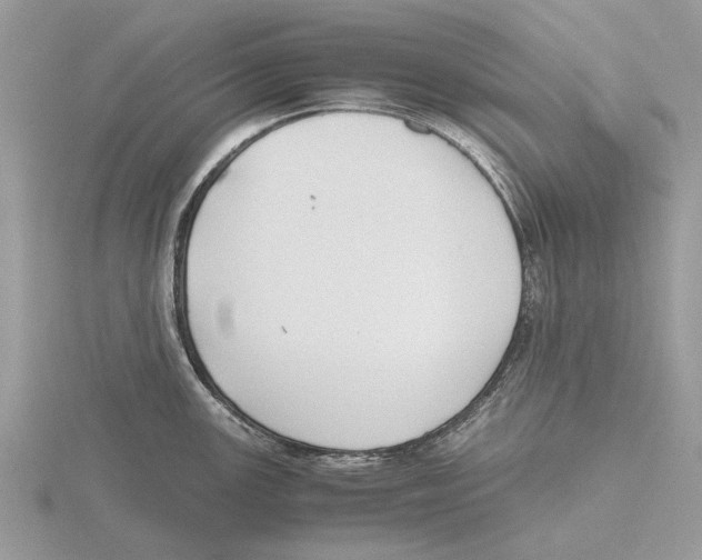 X0000115661147200912101046