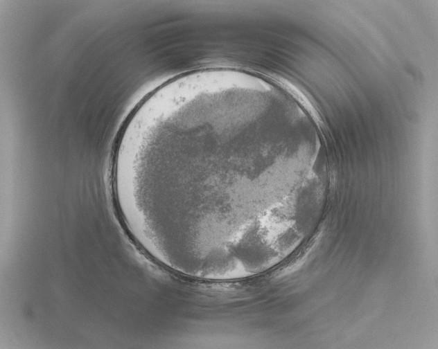 X0000115661149200912101046