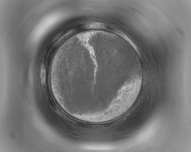 X0000115661151200912101046