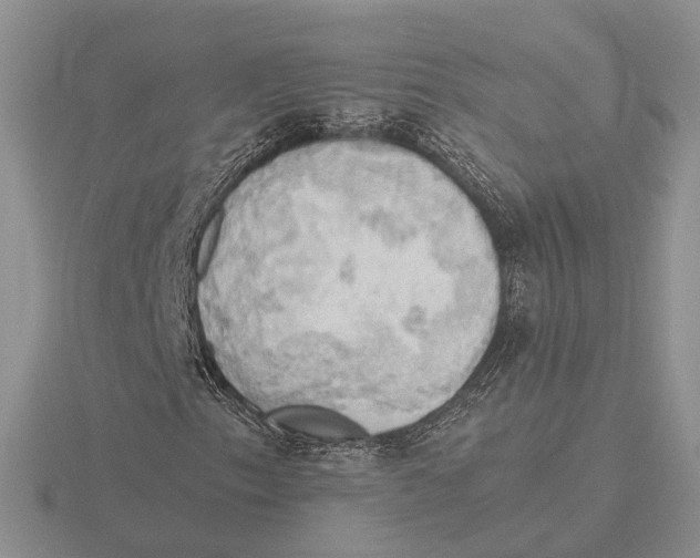 X0000115661153200912101045