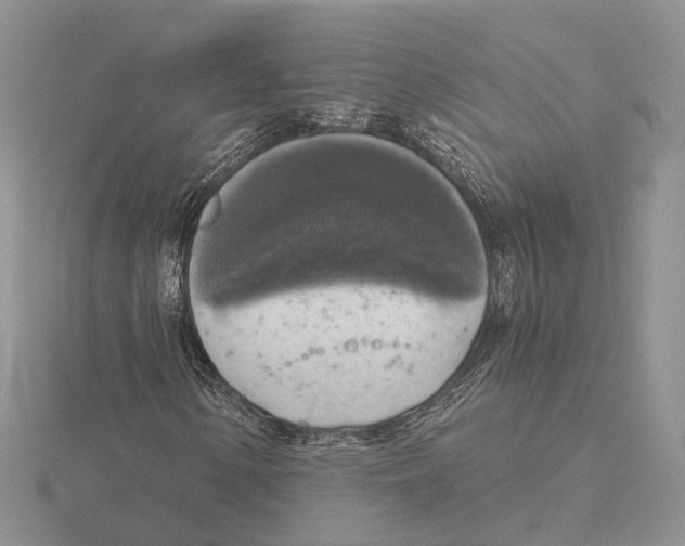 X0000115661154200912101045