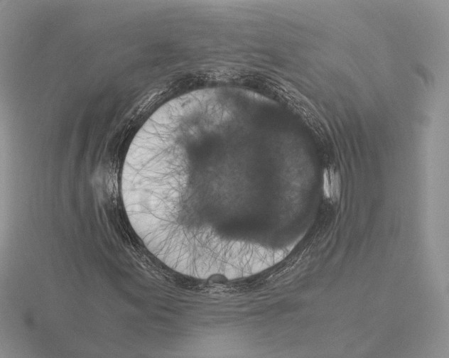 X0000115661155200912101045