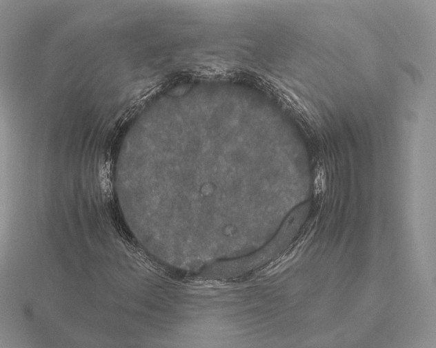 X0000115661156200912101045