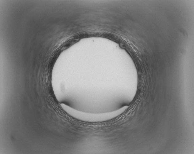 X0000115661157200912101045