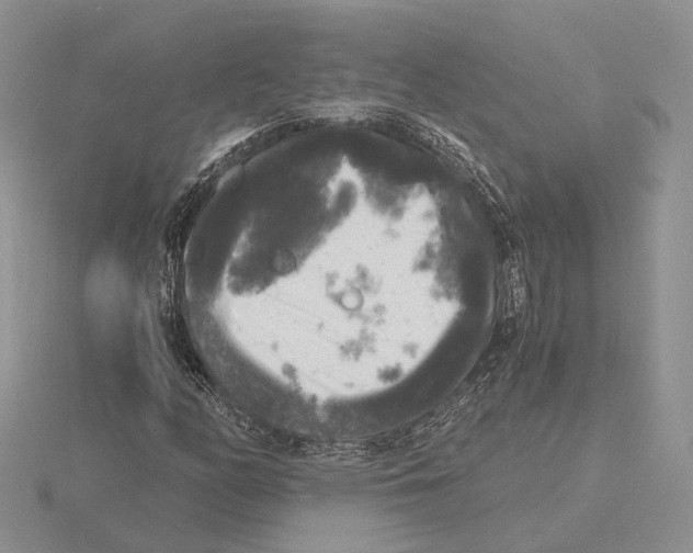 X0000115661158200912101045