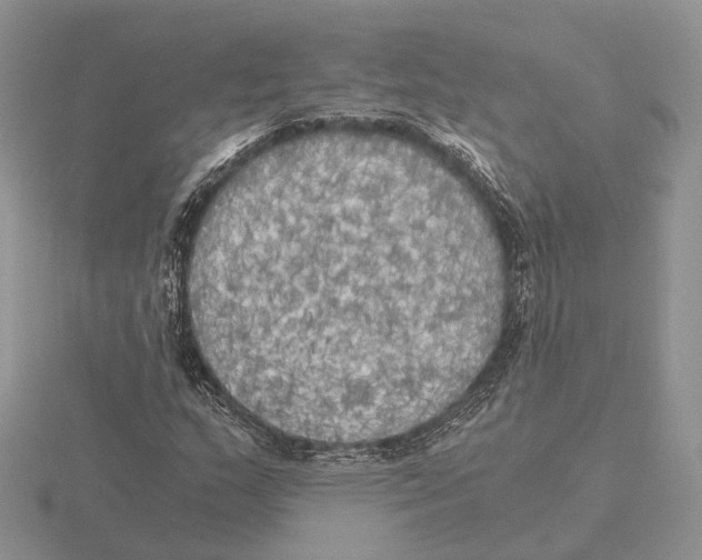 X0000115661159200912101045