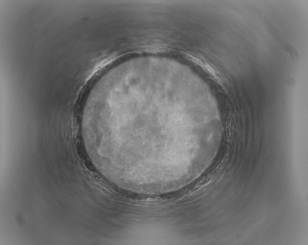 X0000115661160200912101045