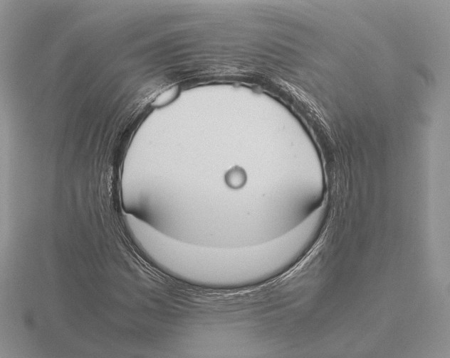 X0000115661161200912101045