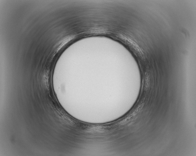 X0000115661162200912101045