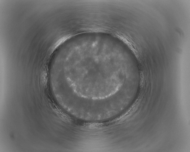 X0000115661163200912101045