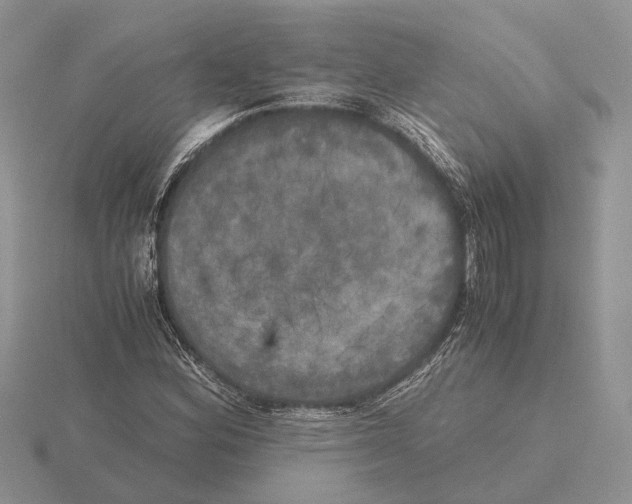 X0000115661164200912101045