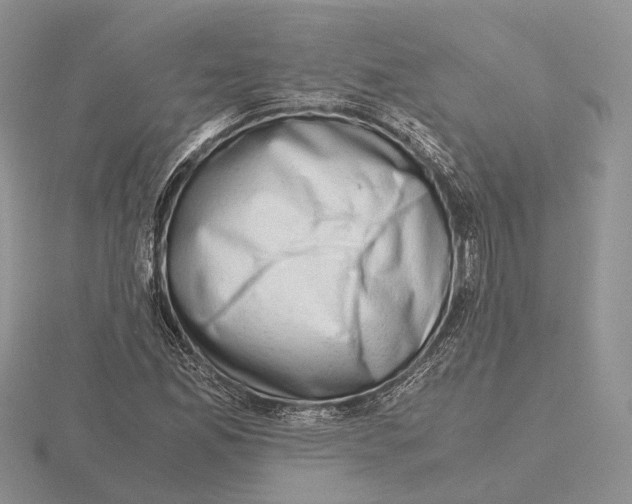 X0000115661165200912101045