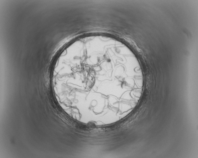 X0000115661167200912101045