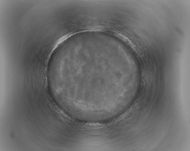 X0000115661168200912101045