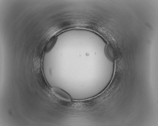 X0000115661169200912101045