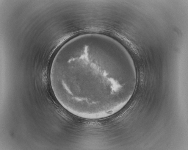 X0000115661170200912101045