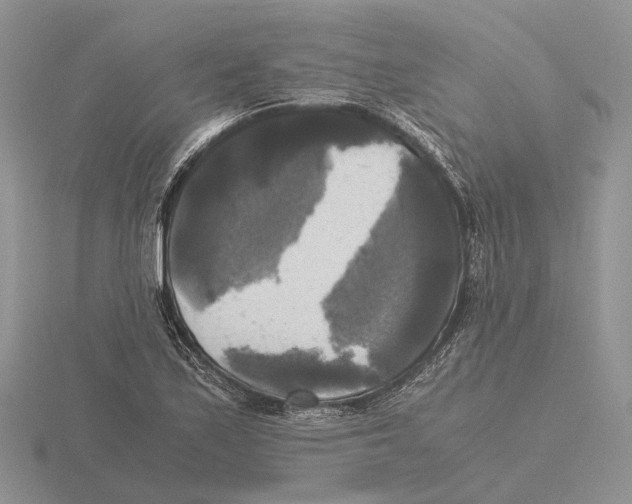 X0000115661171200912101045