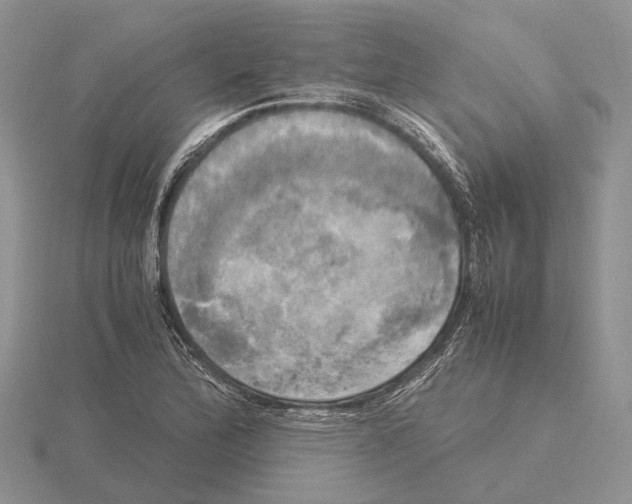 X0000115661172200912101045