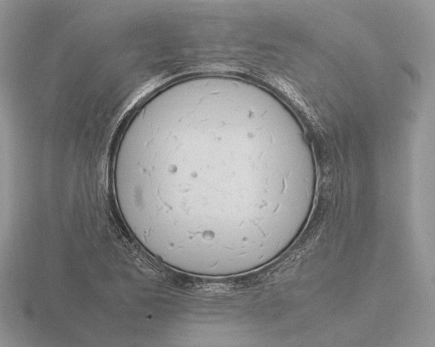 X0000115661173200912101045