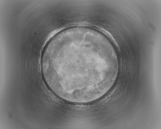 X0000115661176200912101045