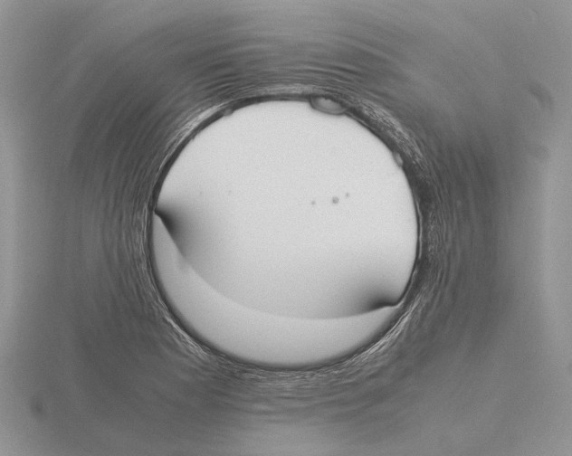 X0000115661177200912101045