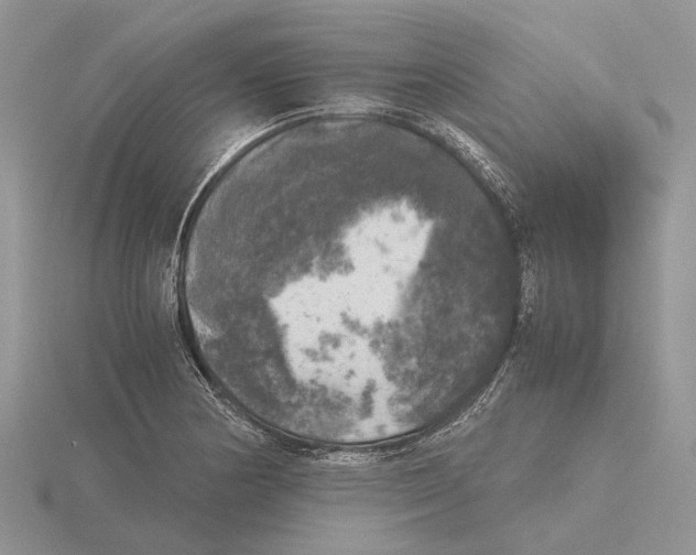 X0000115661178200912101045