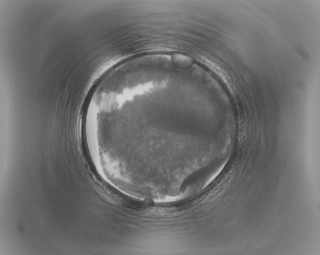 X0000115661179200912101045