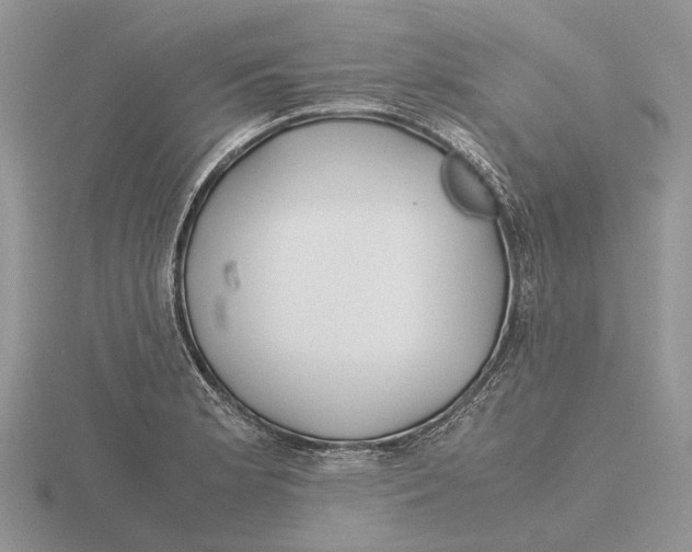 X0000115661181200912101045