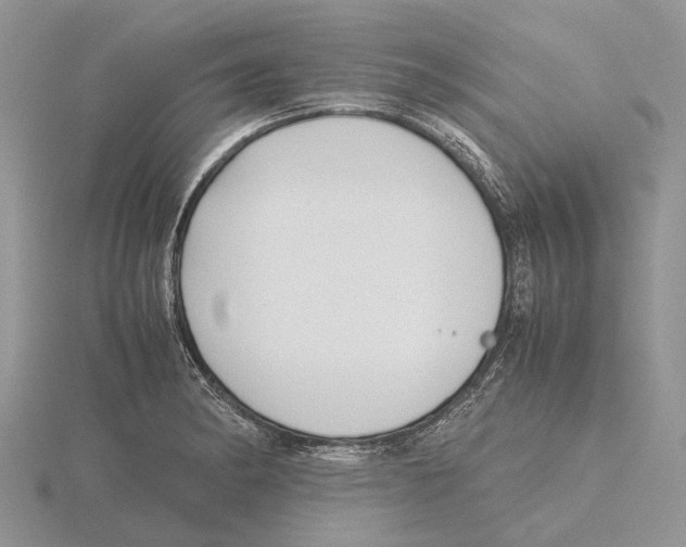 X0000115661182200912101045