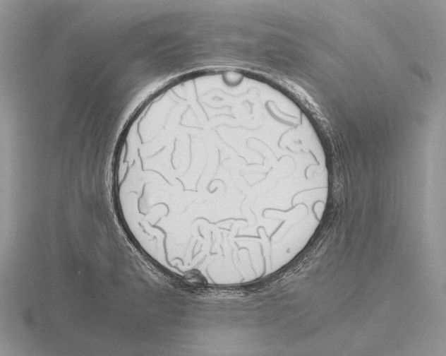 X0000115661183200912101045