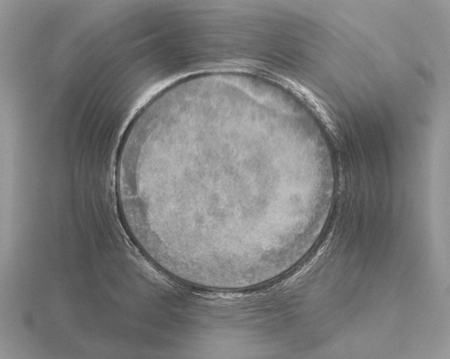 X0000115661184200912101045