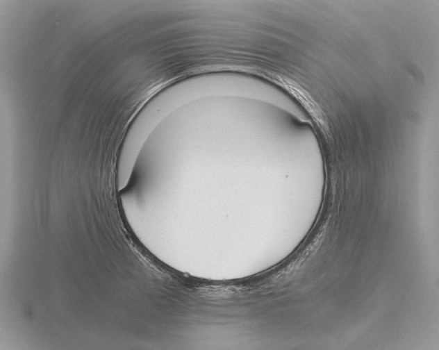 X0000115661185200912101045