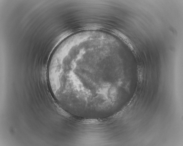 X0000115661186200912101045