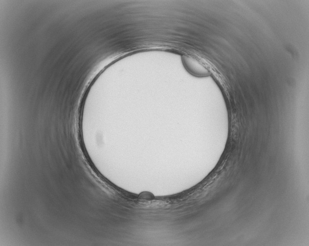 X0000115661187200912101045