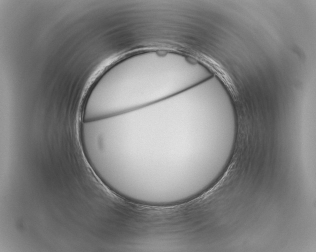 X0000115661188200912101045