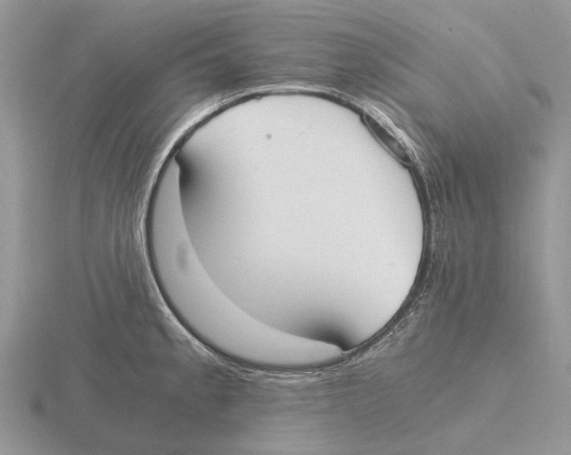 X0000115661189200912101045