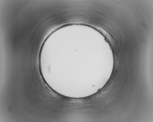 X0000115661191200912101045