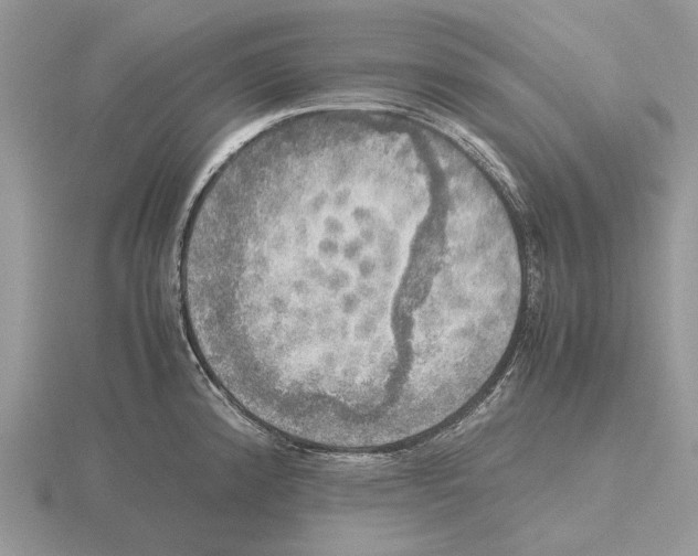 X0000115661192200912101045