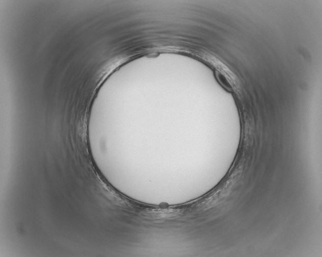 X0000115661193200912101045