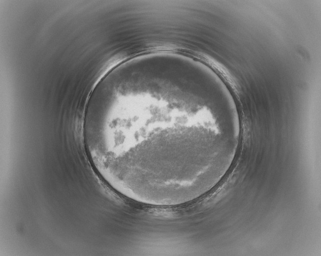 X0000115661194200912101045