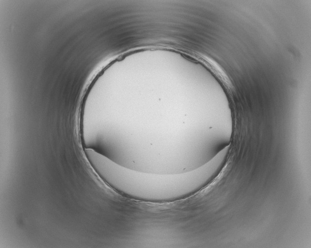 X0000115661196200912101045