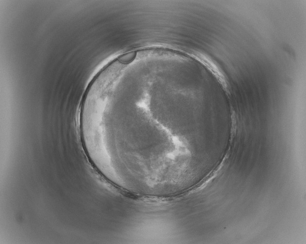 X0000115661198200912101045