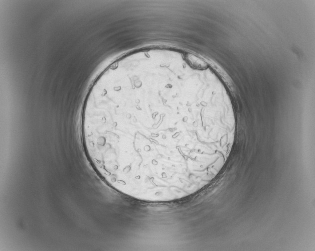 X0000115661199200912101045