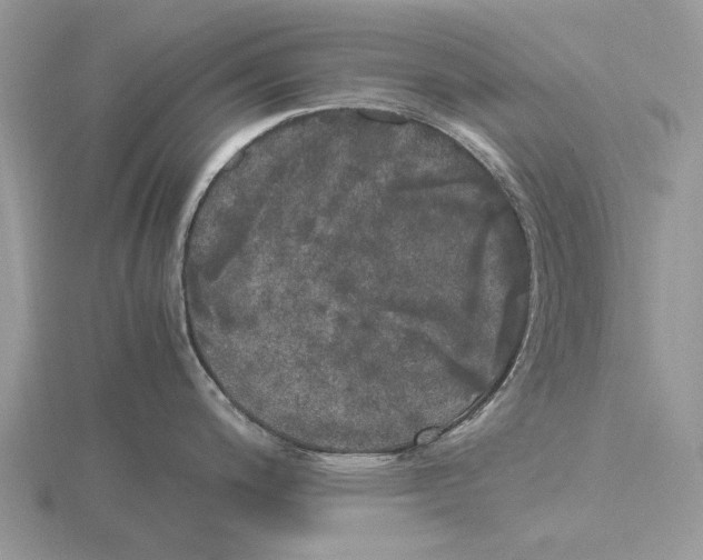 X0000115661200200912101045