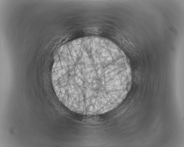 X0000115661201200912101044