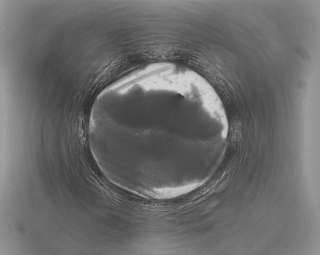 X0000115661202200912101044